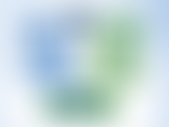 Espiral Dinâmica e PGR Psicossocial: um modelo para o desenvolvimento organizacional sustentável