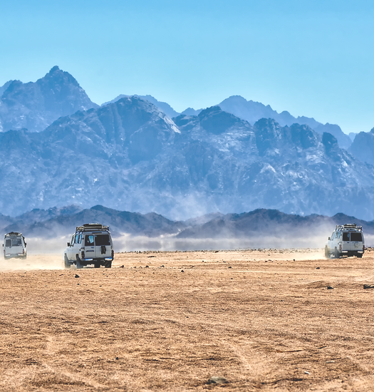 iStock-522714145_edited.png
