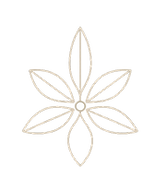 Decorative icon