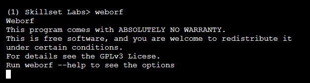 Server Side Exploitation
