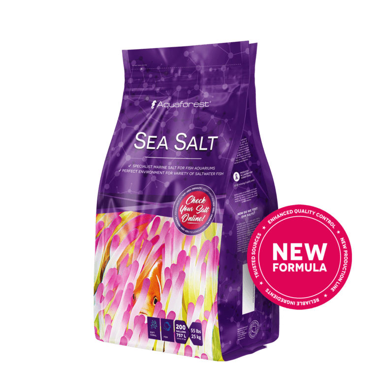 Miniatura: SEA SALT