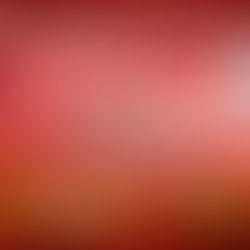 FC Copa Academy Launches Player Development
Hub in Brooklyn in Partnership with Aviator Sports