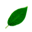 4.png
