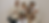 Screenshot 2025-06-30 at 7.06.34 PM.png