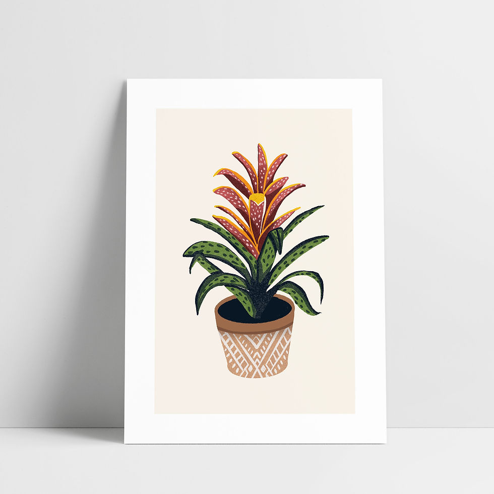 Bromelia