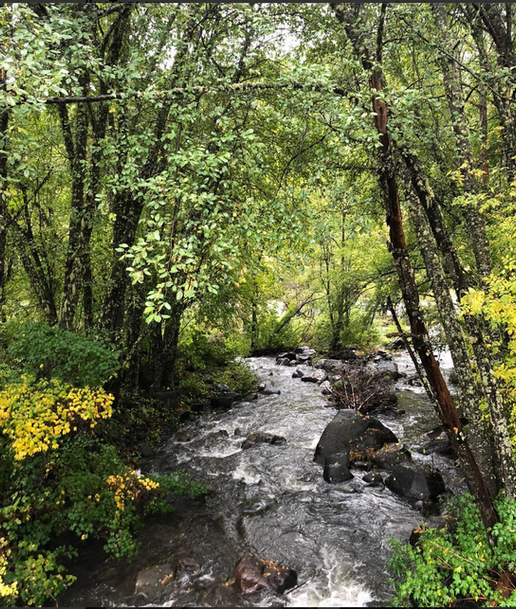 little roaring creek.png