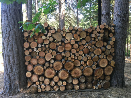 firewood art.jpg