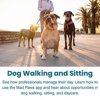 Dog Walking and Sitting