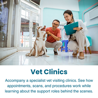 Vet Clinics
