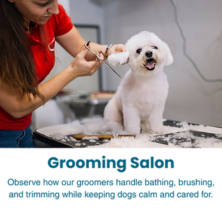 Grooming Salon