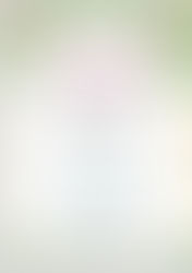 Christmas Lights Switch On - 5th Dec