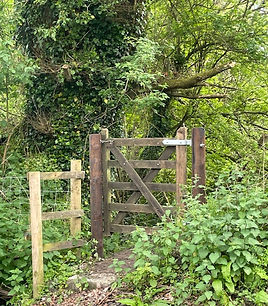 Dog walking field in Bovey Tracey Newton Aboot Devon