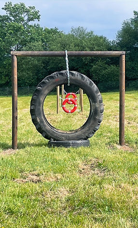 Hoop jumps at secure dog walking field bovey tracey Newton abbot