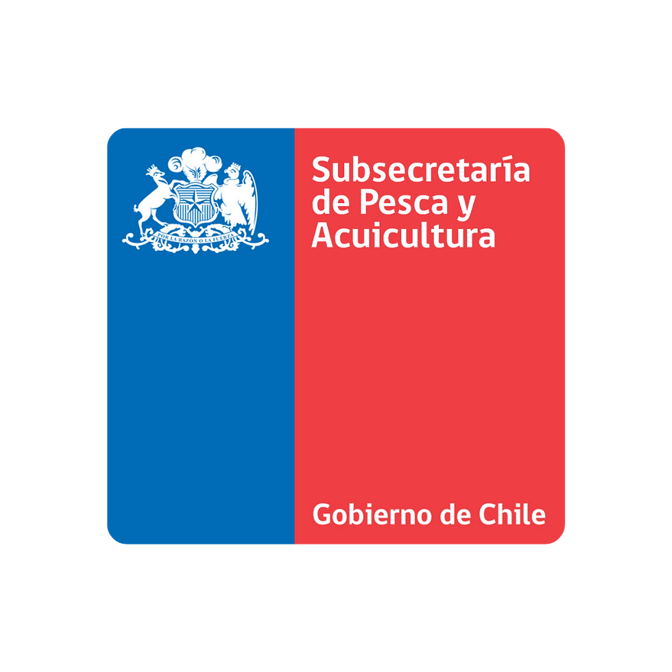 Logotipos SkillHub (10)