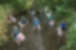 Creek Critters & Mill Creek Clean Up with the Cumberland River Compact