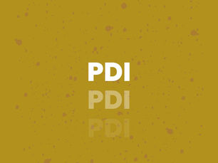 Plano de Desenvolvimento Individual