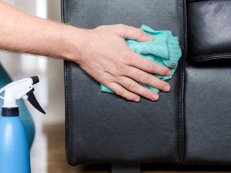 Những cách đơn giản nhưng hiệu quả để tránh hư hại do mèo cào sofa