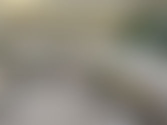 Bước Vào Thế Giới Màu Sắc: Thi Công Nội Thất Văn Phòng Đặc Sắc