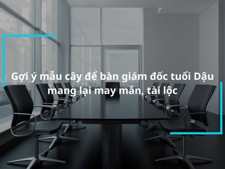 Khám Phá Nét Đẹp Tinh Tế: Gạch Ốp Tường Làm Mới Không Gian Phòng Họp