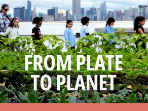 City and regional governments are leading the way on real food and climate action.