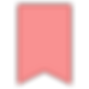 icons8-bookmark-100.png
