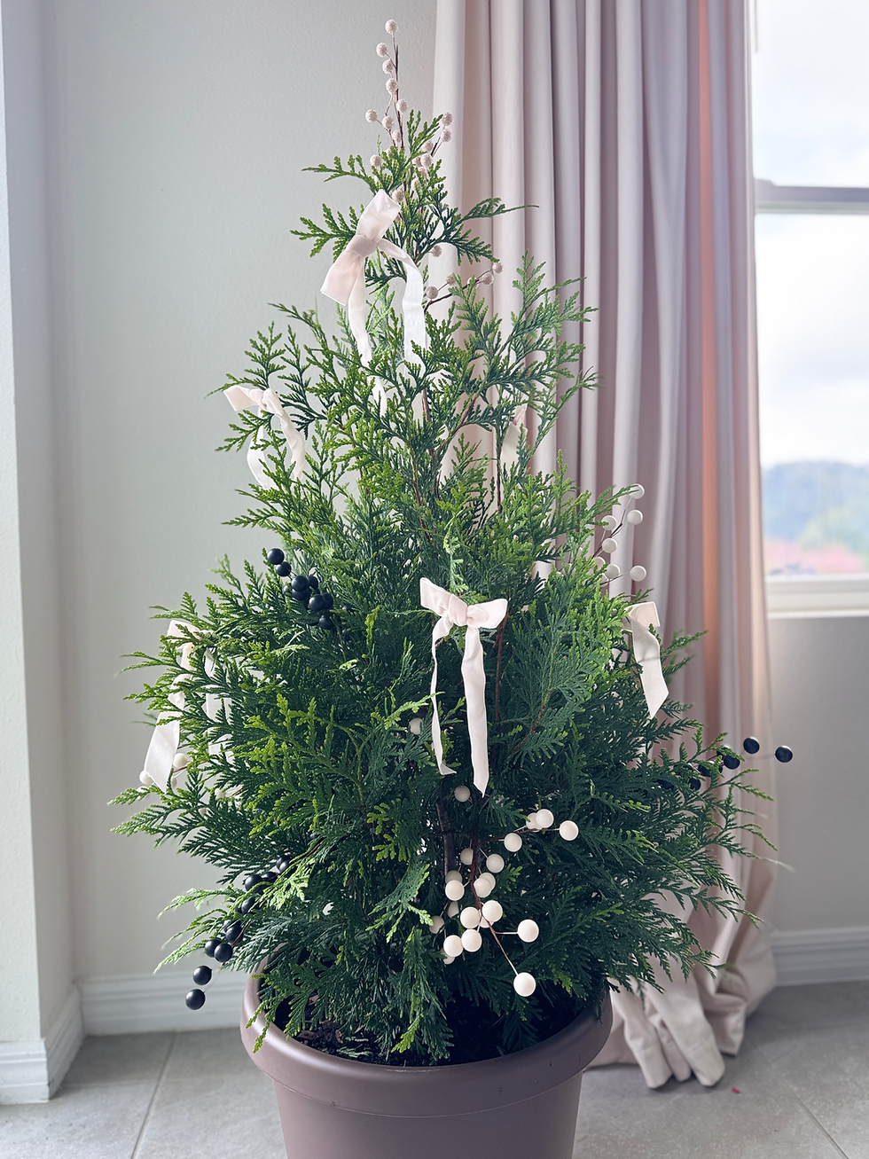 Modern live Christmas tree with white ribbon and natural greenery, Tampa Roots Gardening indoor and outdoor holiday décor