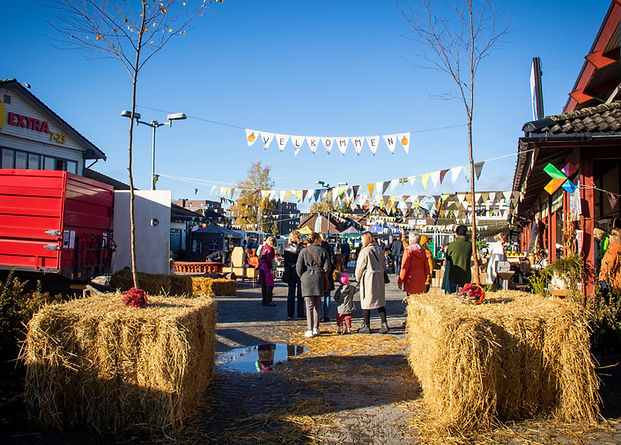 festivalplassen i Spydeberg under høstmarked