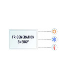 trigeneration02.jpg