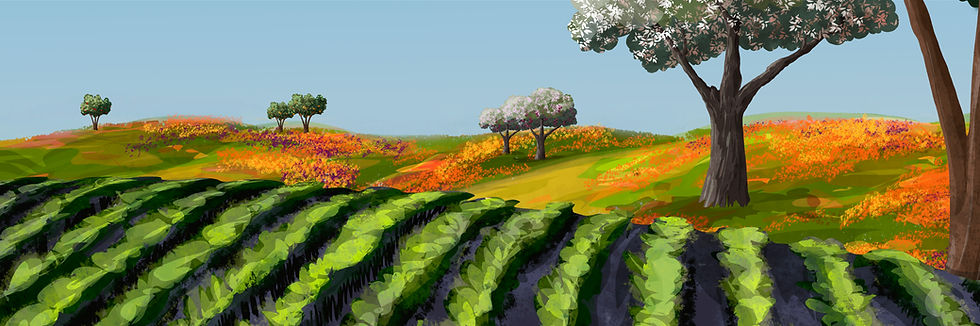Farm 1_144x48.jpeg