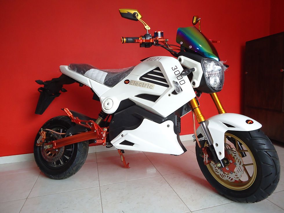 Miniatura: SPORT 3000