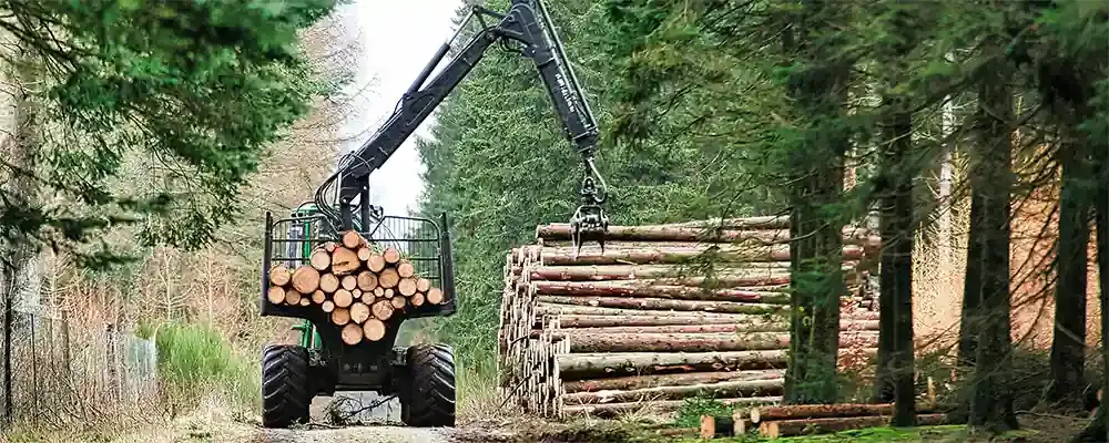 Timmergrip lastar stockar