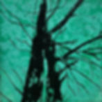 Venue16_BeverleyMatchetteDownes_BeechVII.jpg