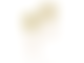 Gold Drop Pearl Earrings by Wendy Penrose