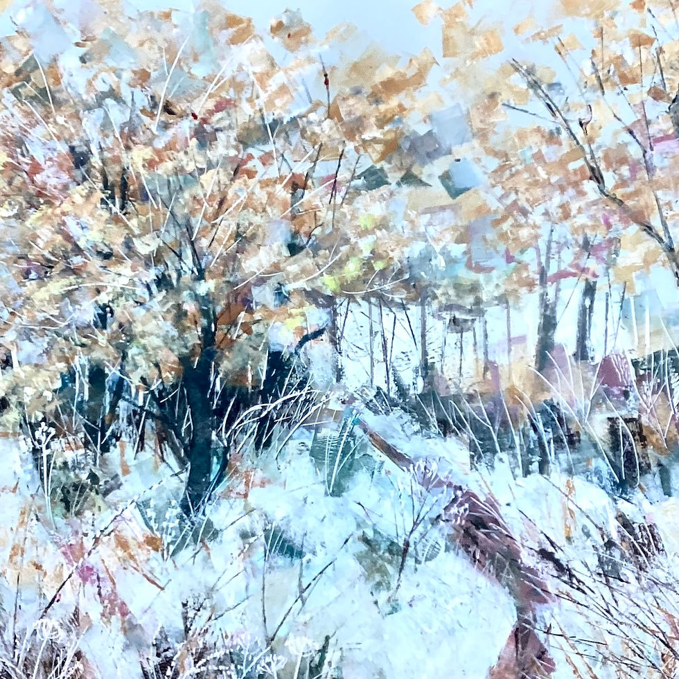 Venue6_ClareBuchta_BonesWood Winter(1).jpg