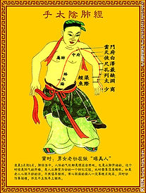 手太阴肺经 清晰.jpg