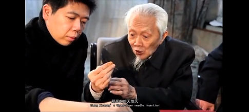 Traditional Chinese medicine master Cheng Xinnong and his grandson Professor Cheng Kai