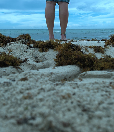 G0_01.jpeg