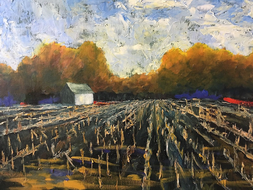 Harvest Hues