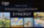 SYNERGY