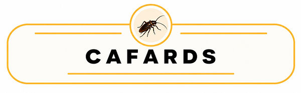 2cabfd9b0796ee6efaa117acbef290fa78bc7ab0b0562379db5b914a8537f700_edited.jpg