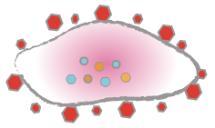 oxidative stress on skin cells