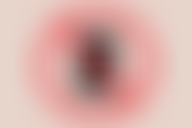 A complete full phone ban in schools has been announced by the Iowa government