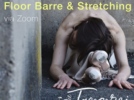 Floor Barre & Stretching