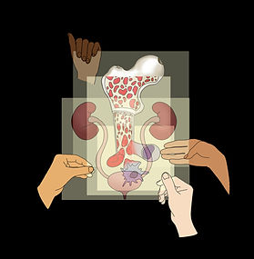 The task was to create a urology-nephrology-hematology teaching grant logo. It was requested that the interaction between the three branches were highlighted, along with an emphasis on collaboration, mentorship, training, and diversity.
The goal was achieved by showing the different branches on separate slides and having different hands come together to create the final illustration.