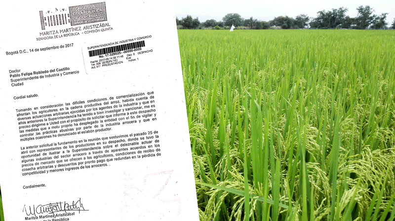 ¿QUÉ PASA CON LAS SOLUCIONES PARA LOS PRODUCTORES DE ARROZ EN COLOMBIA?