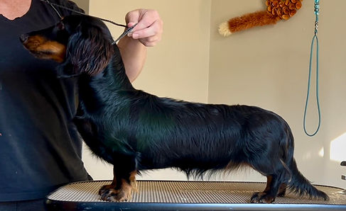 Reckless 9 months.jpg