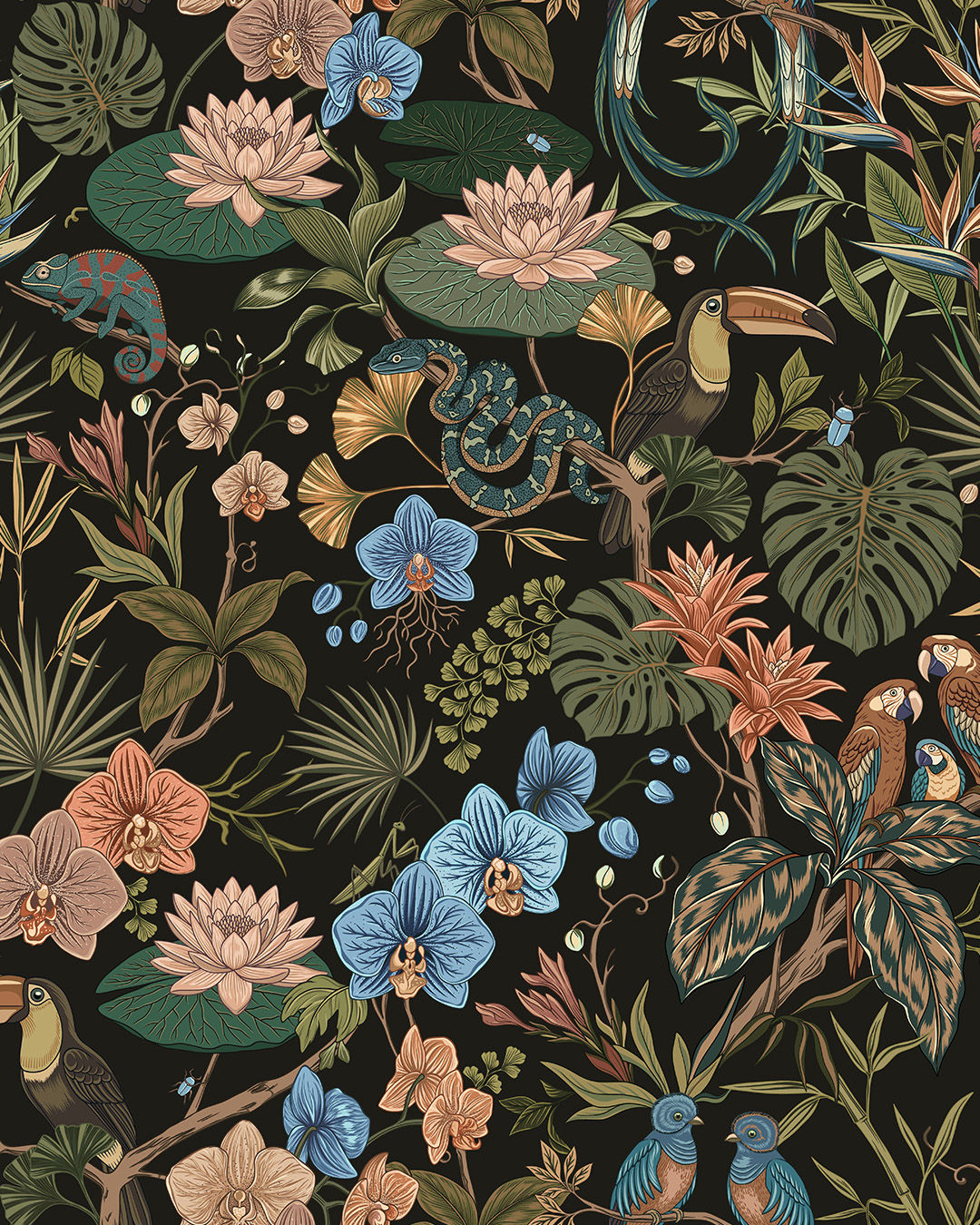 CLG-KK-Jungle Jazz-dark.jpg