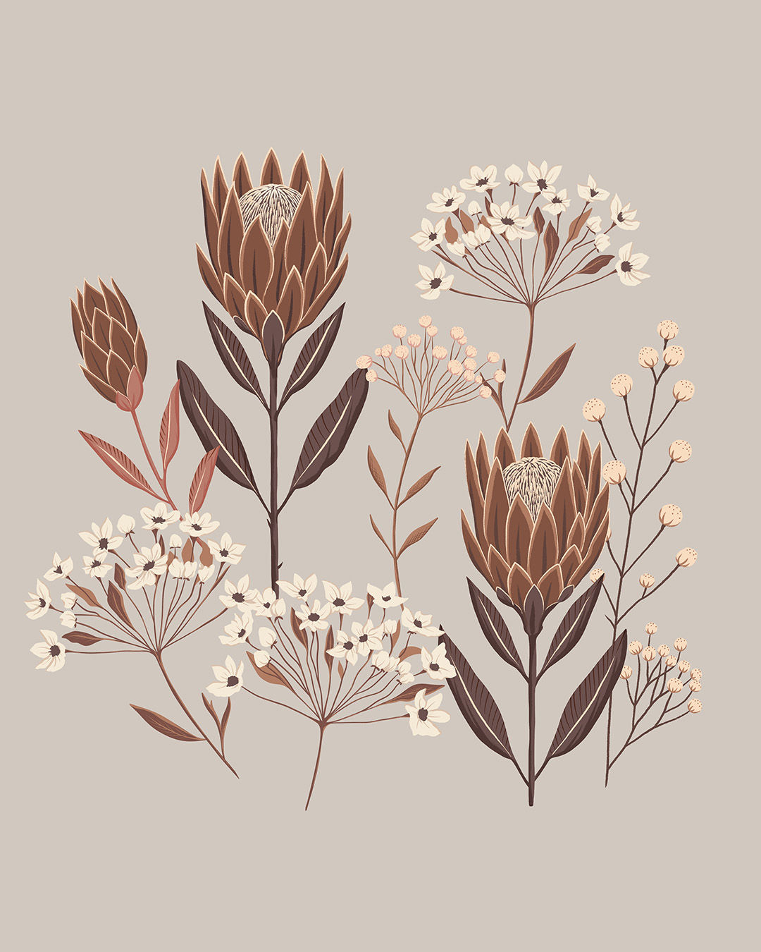 CLG-KK-Boho protea.jpg