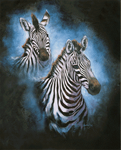 Two Zebras