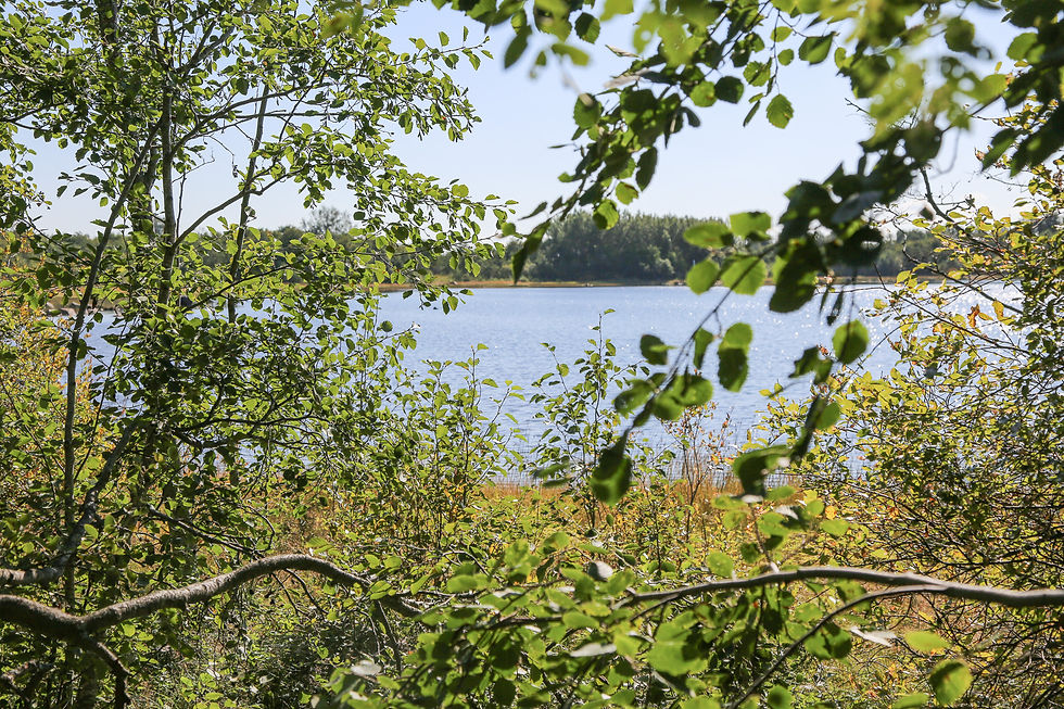 Näkymää Äijästä Ämmän ja Iso-Soinin suuntaan